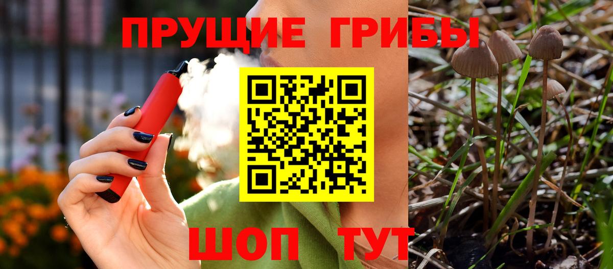 Галлюциногенные грибы GOLDEN TEACHER  Галлюциногенные грибы Magic Shrooms  Обь  Вход с VPN 