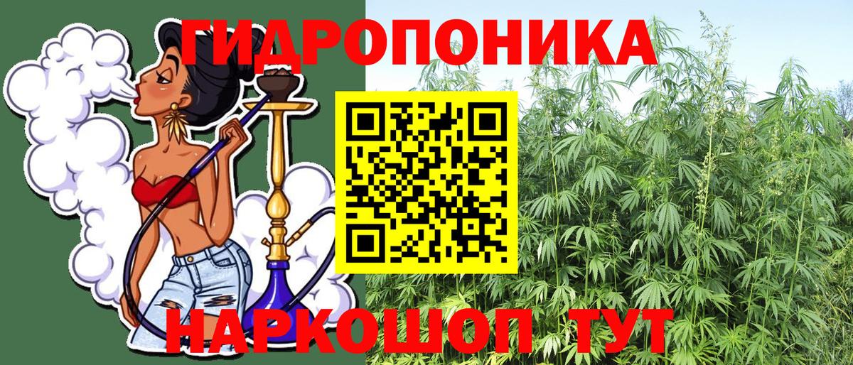 Обь  Каннабис Ganja  Вход с VPN  Бошки марихуана OG Kush 